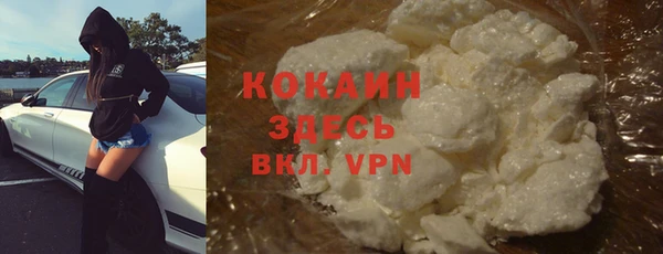 дживик Арсеньев