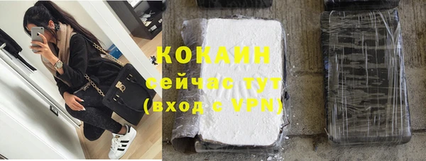 дживик Арсеньев